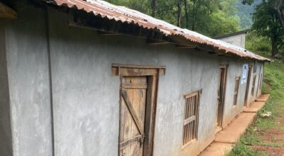 ताराज्योति प्राथमिक विद्यालय