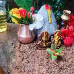 हरिशयनी एकादशीमा तुलसीको विरुवा