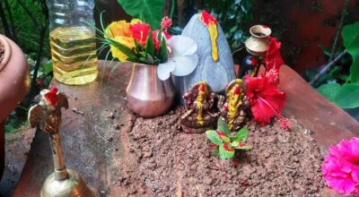 हरिशयनी एकादशीमा तुलसीको विरुवा