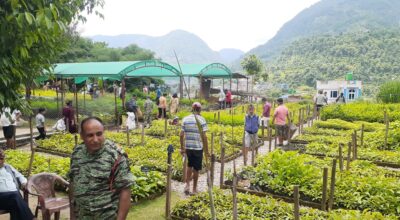 डाँलेघाँस उत्पादन