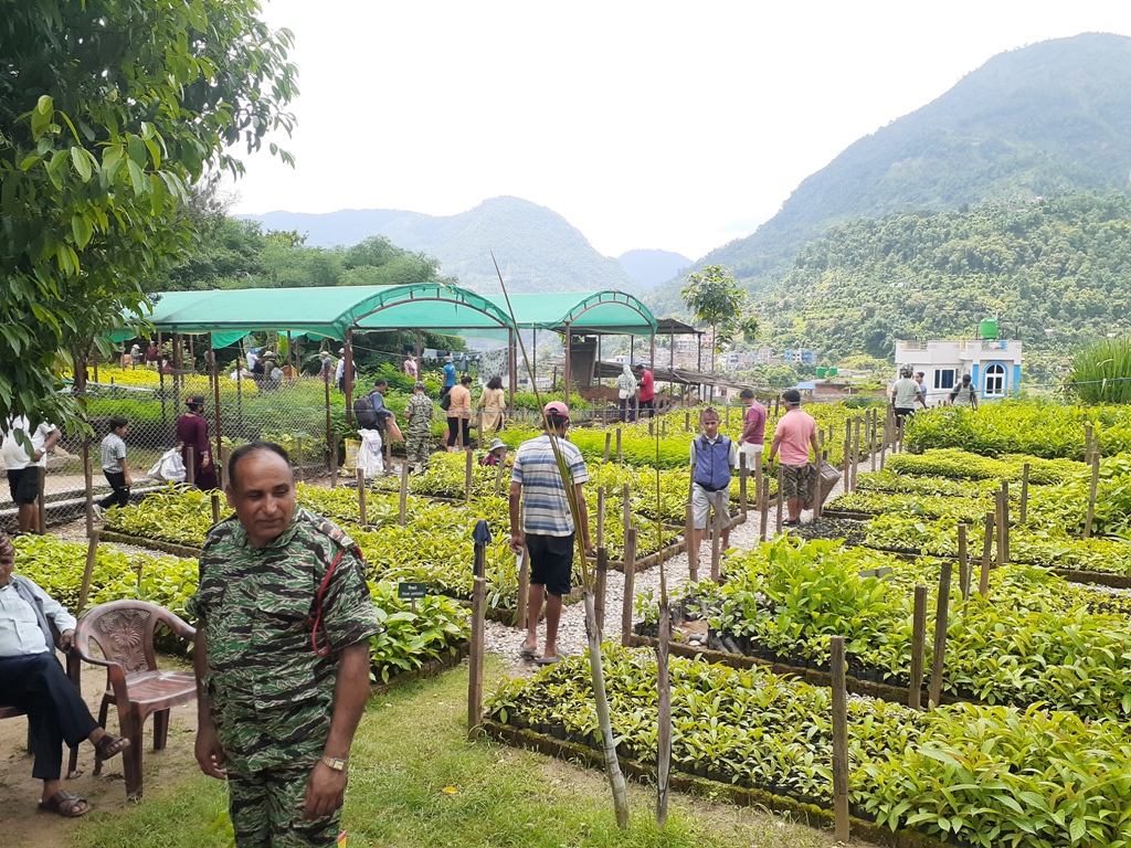 डाँलेघाँस उत्पादन