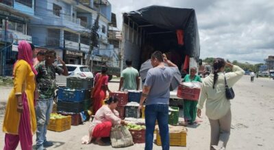 आँप उत्पादन