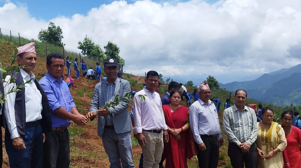 तनहुँमा चियाखेती