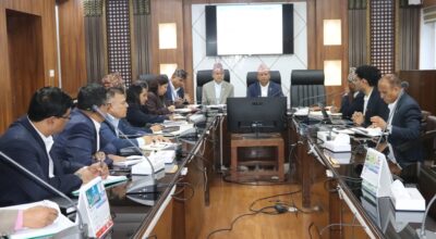 वनको समस्या समाधान गर्न ऊर्जा मन्त्रालय सक्रिय