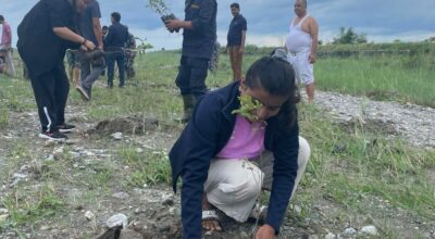 झापामा धमाधम वृक्षारोपण