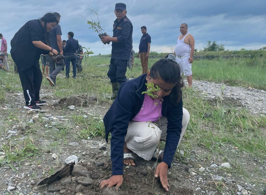 झापामा धमाधम वृक्षारोपण