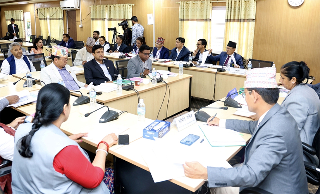 न्याय तथा मानव अधिकार समिति