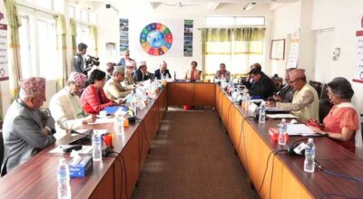 विकास, आर्थिक मामिला तथा सुशासन समिति