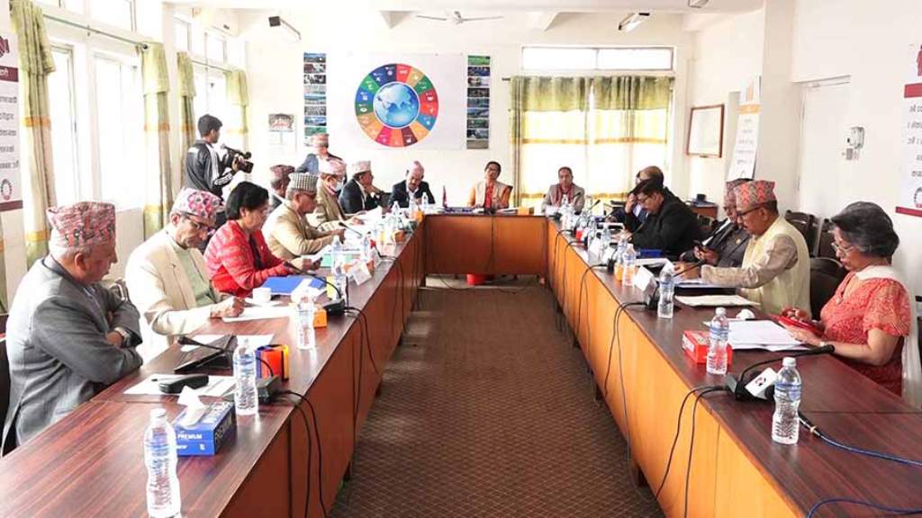 विकास, आर्थिक मामिला तथा सुशासन समिति