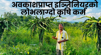 अवकाशप्राप्त इञ्जिनियरको लोभलाग्दो कृषि कर्म
