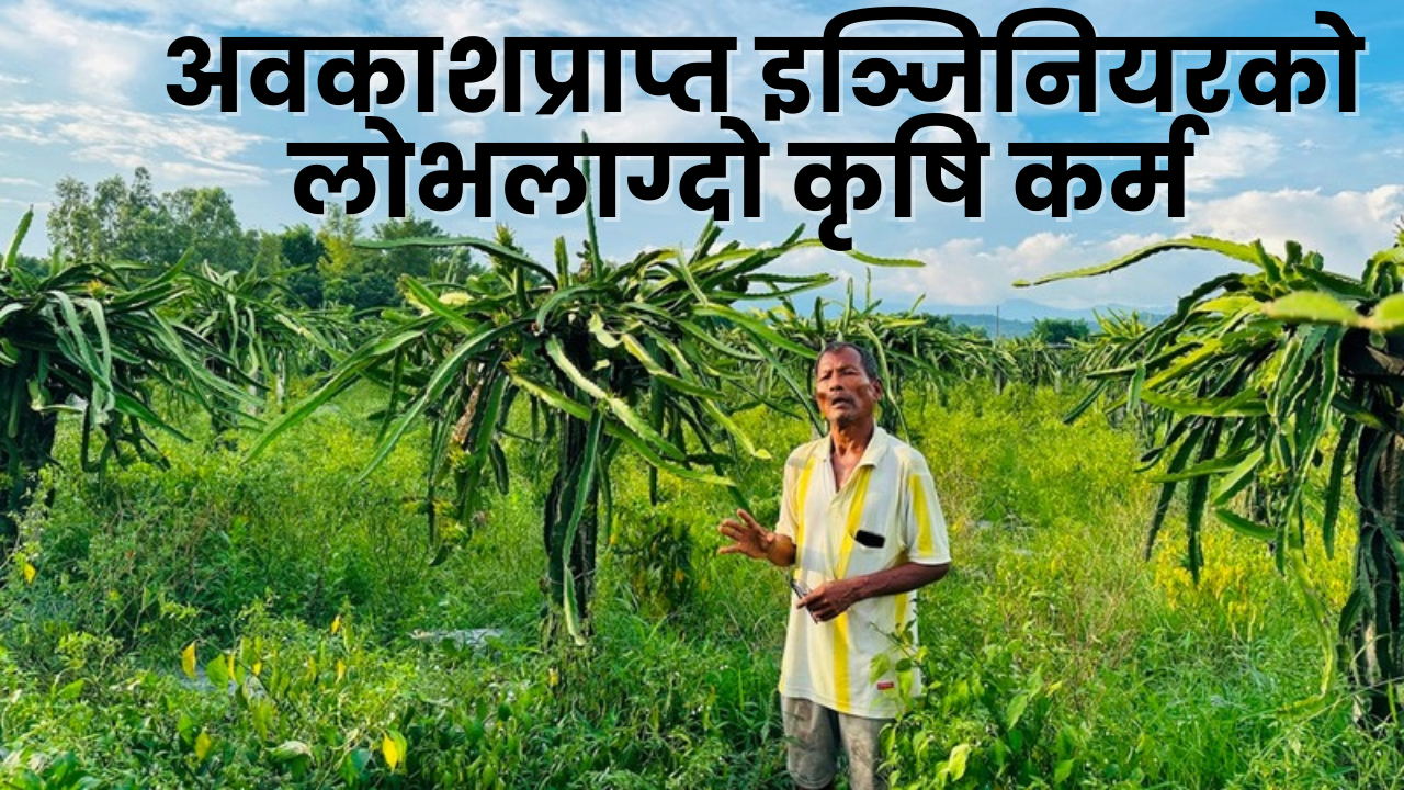अवकाशप्राप्त इञ्जिनियरको लोभलाग्दो कृषि कर्म