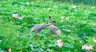 कान्तिताल