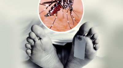 डेंगु संक्रमण