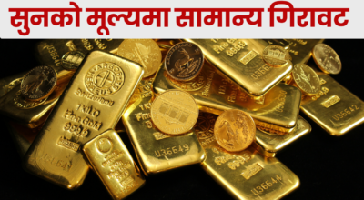 सुनको मूल्यमा सामान्य गिरावट