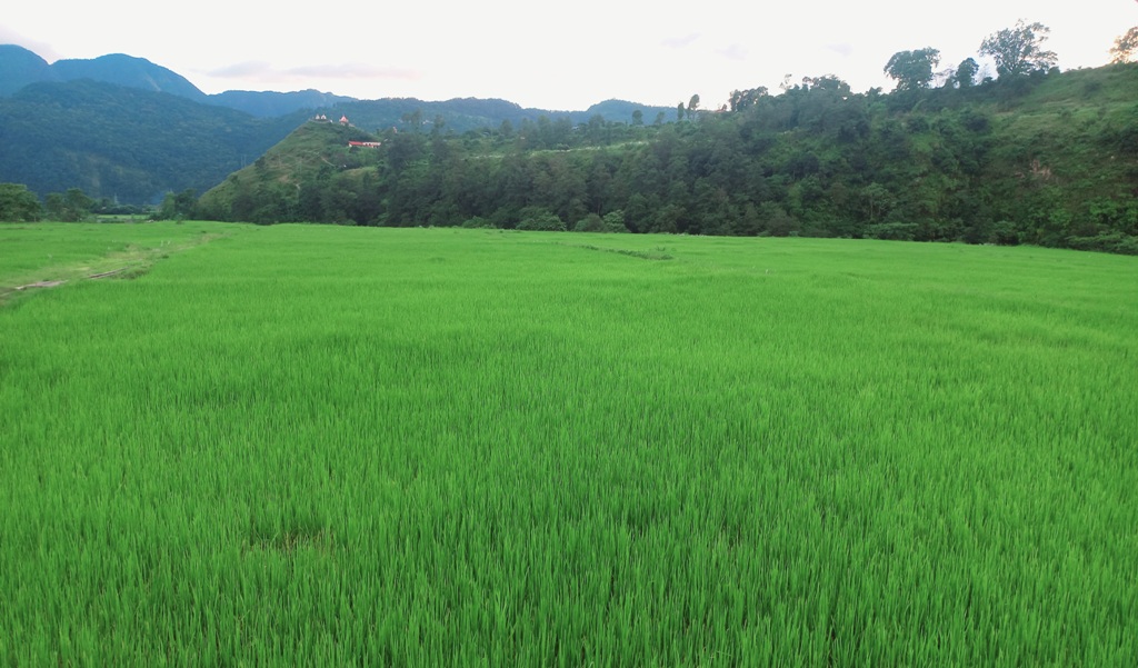 चक्लाबन्दी खेती