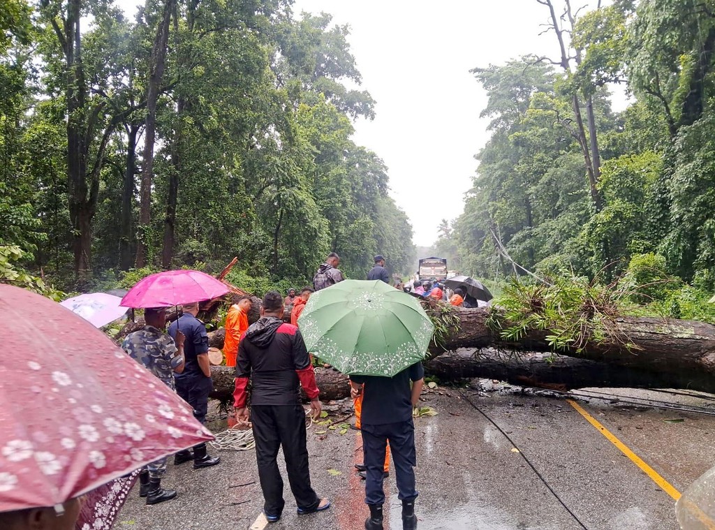 रुख ढलेर नारायणगढ–मुग्लिन सडक अवरुद्ध