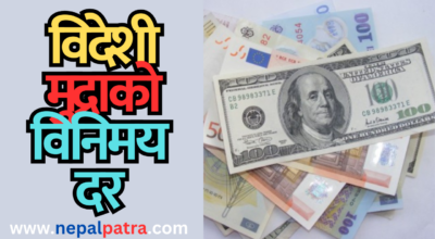 विदेशी मुद्रा