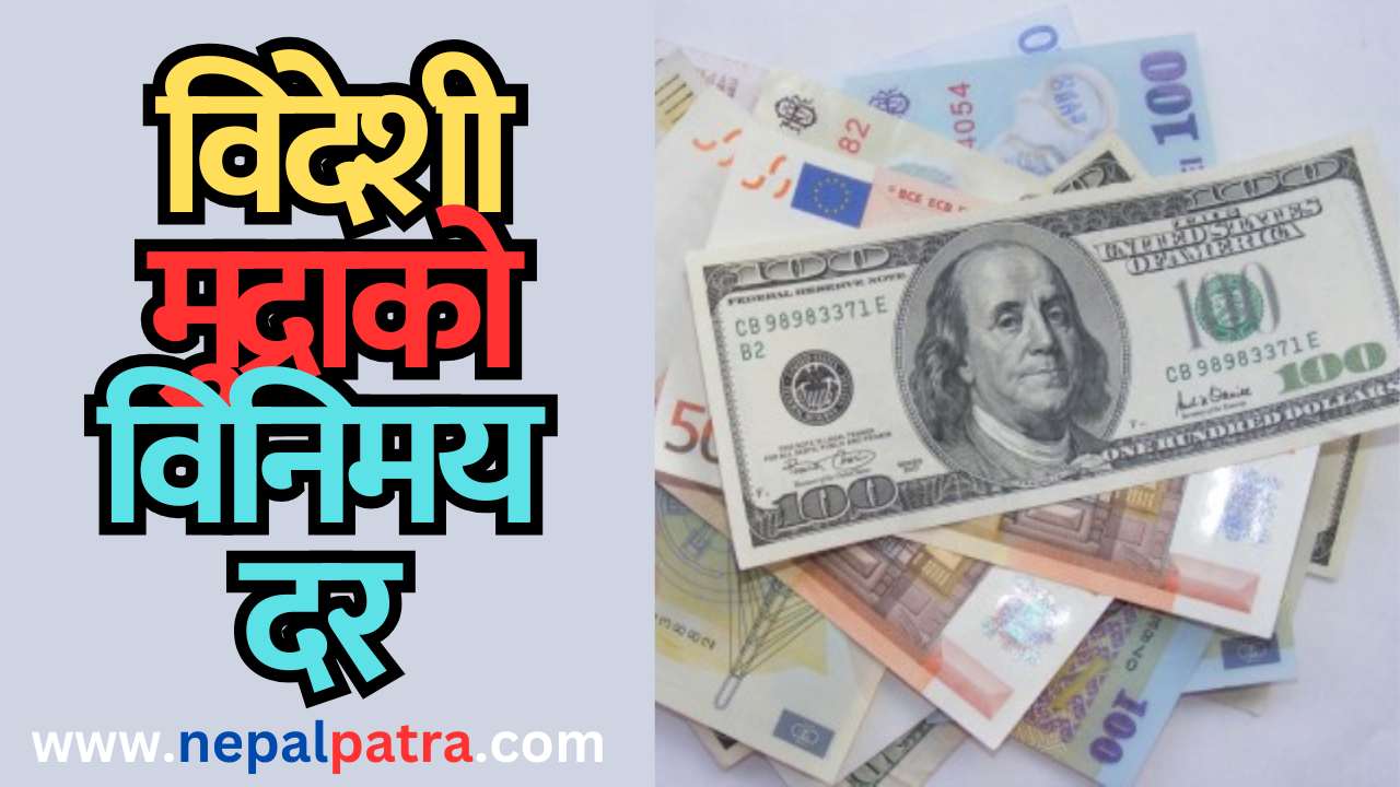 विदेशी मुद्रा