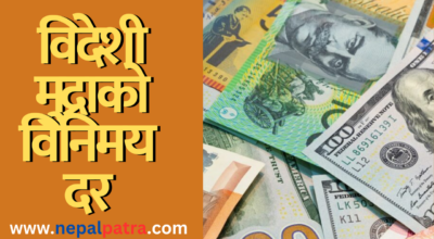 विदेशी मुद्रा