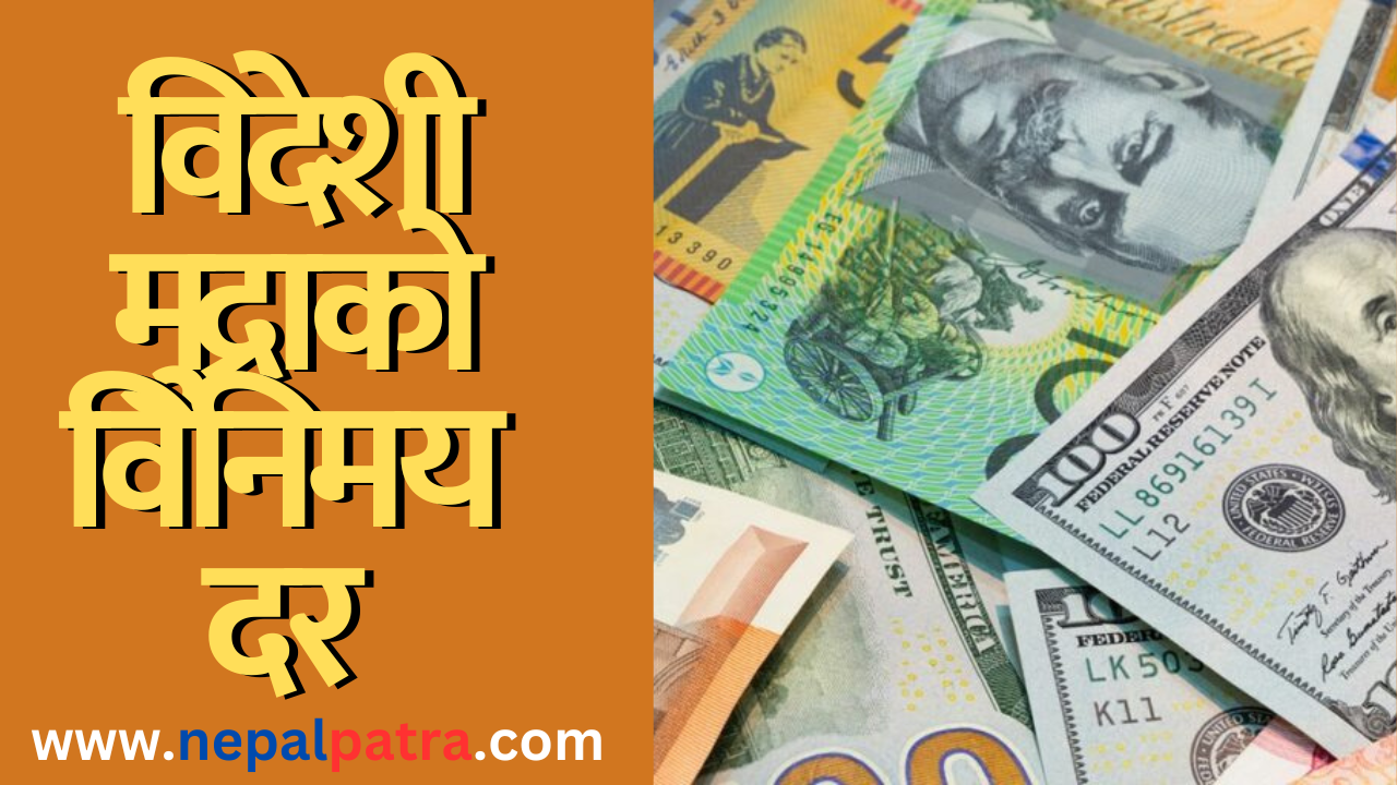 विदेशी मुद्रा