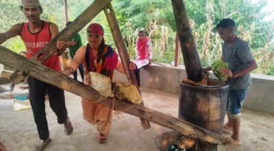 चिउरीको दाना पेलेर घ्यूको जोहो