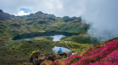 कोही ‘डुलुवा’, कोही ‘घुमन्ते’