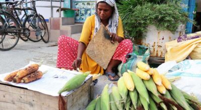 मकै बेचेर जीवन निर्वाह