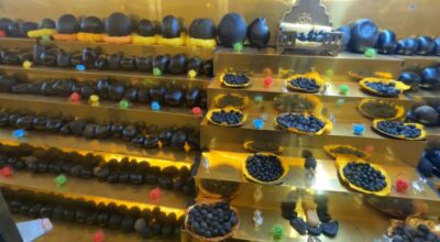 शालग्राम संरक्षण