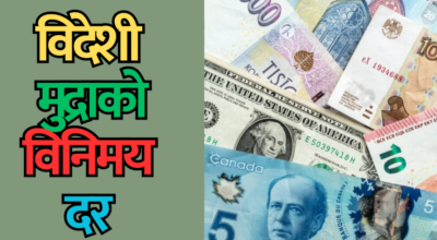 विदेशी मुद्राको विनिमय दर