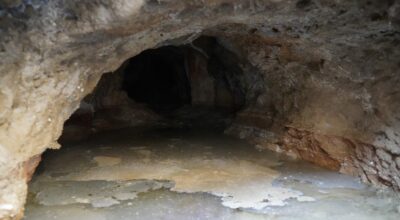 भोटको नुन