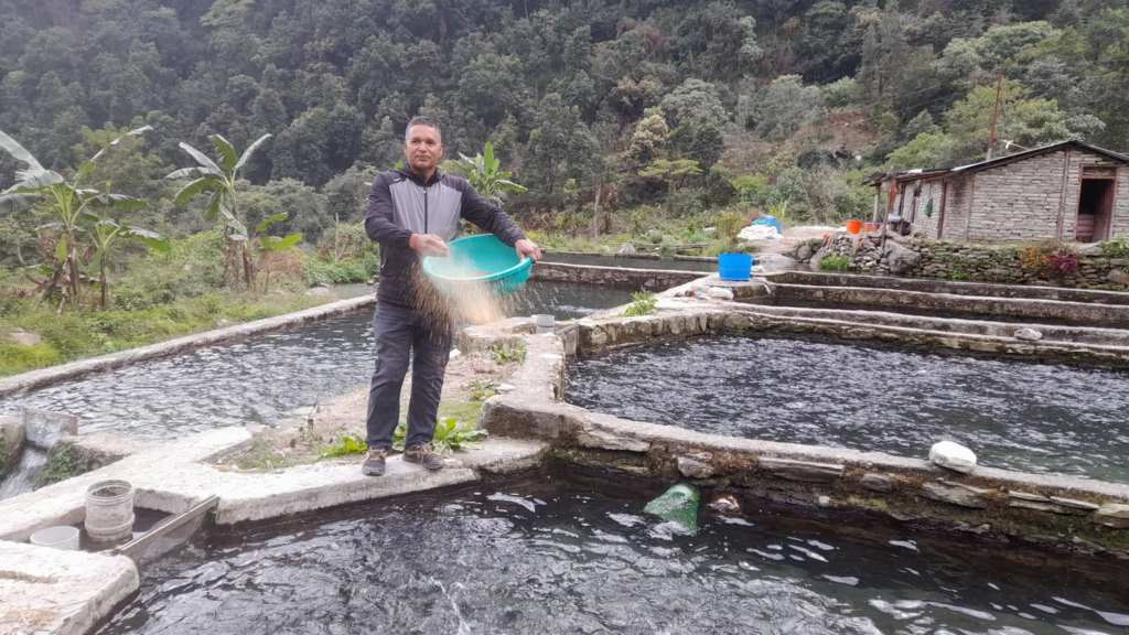 रेन्बो ट्राउट माछा