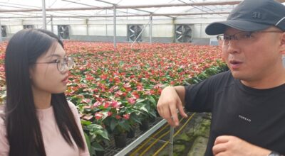 लाइयुआनको गौरवमा हेबेई प्रान्तको विकास फड्को