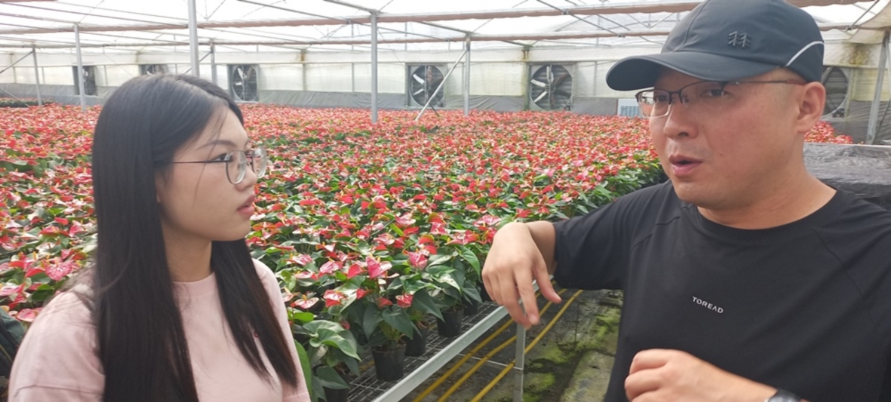 लाइयुआनको गौरवमा हेबेई प्रान्तको विकास फड्को