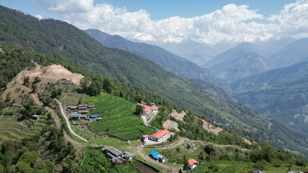 टोड्के
