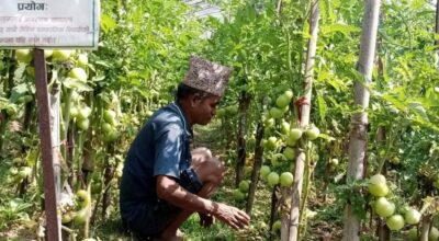 गाउँले एफएम दाइ