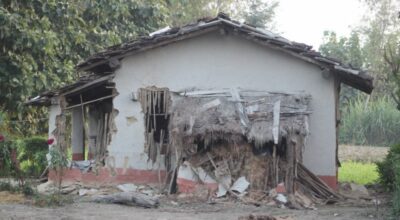 लालझाडीमा जङ्गली हात्तीले आतंक मच्चायो