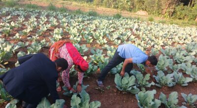 झुसिल्किराको प्रकोप