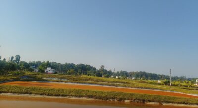 माछाका भुरा