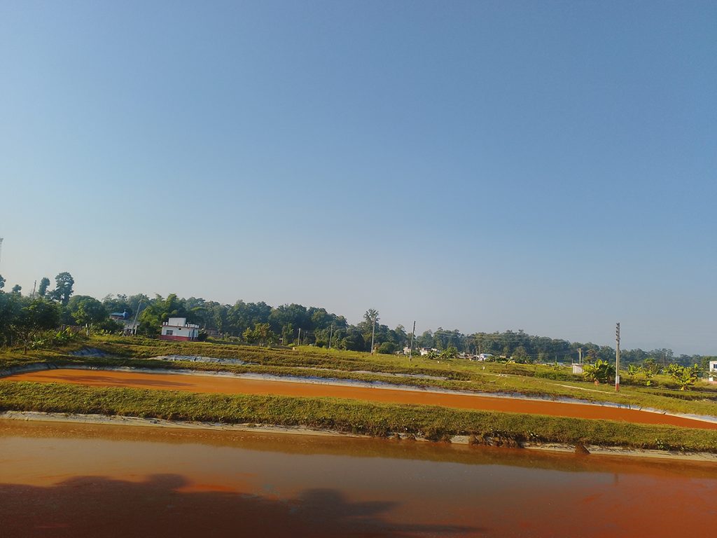 माछाका भुरा