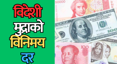 विनिमय दर