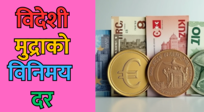 विनिमय दर