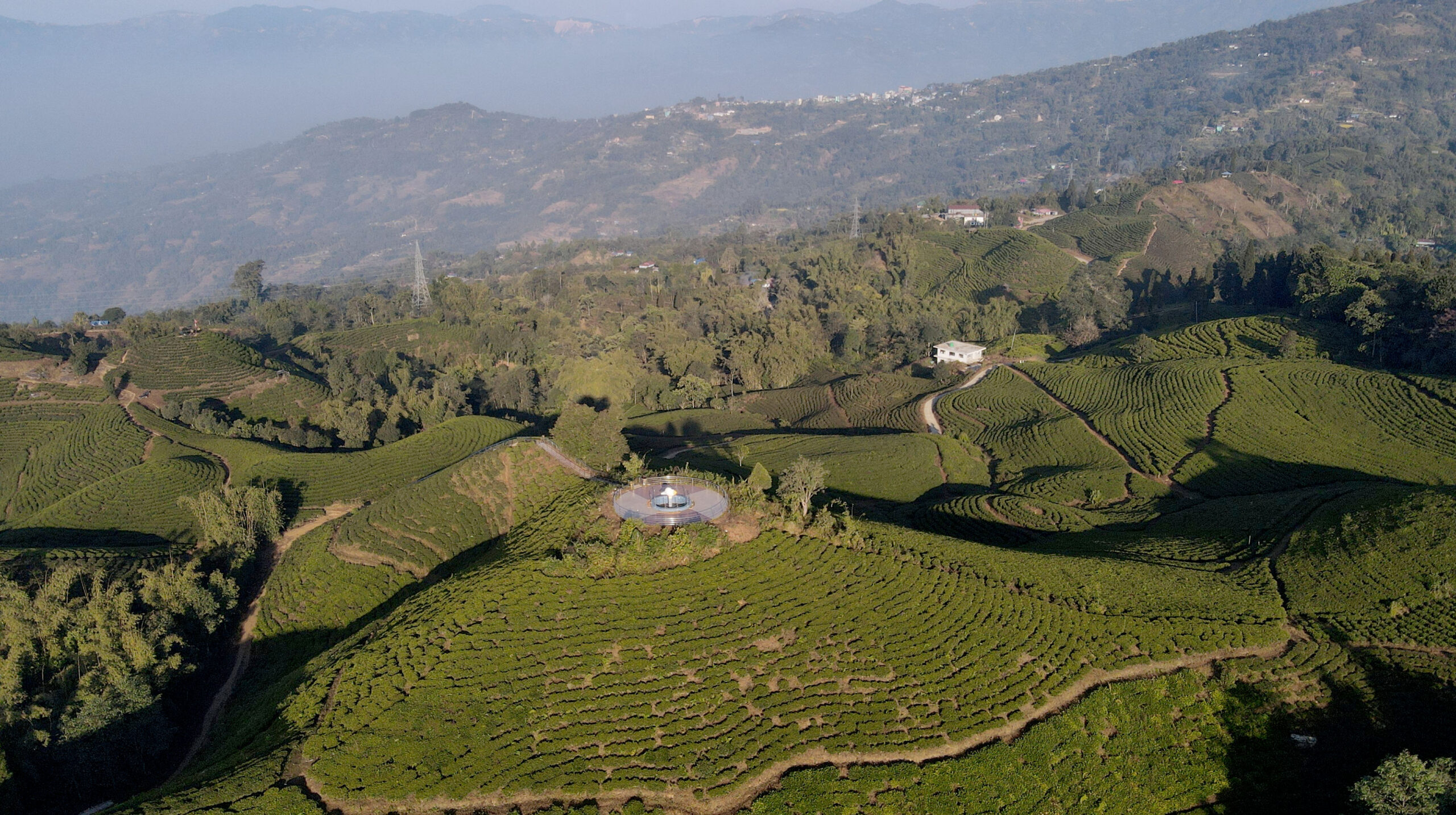 इलामको पानीटार चिया बगान