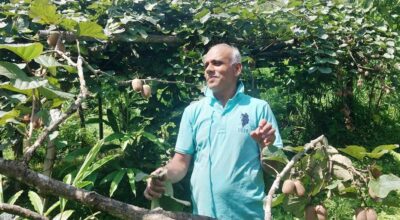 किसानलाई किबी