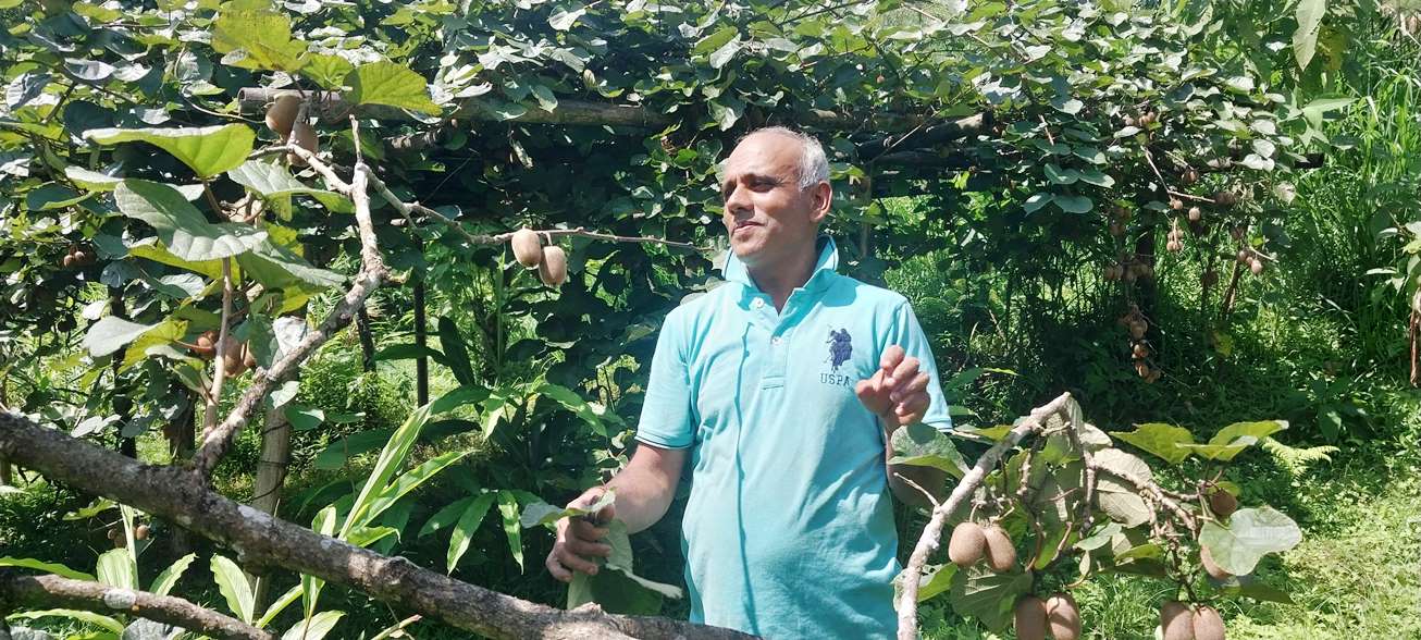 किसानलाई किबी