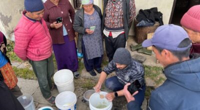 किवीबाट वाइन