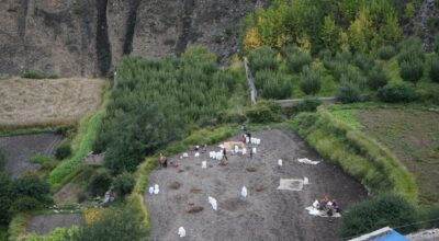 आलु ‘जोन’