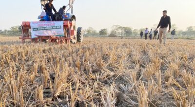 मकैखेती