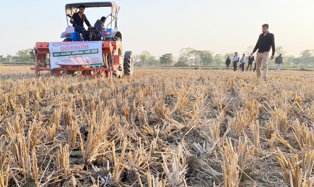 मकैखेती