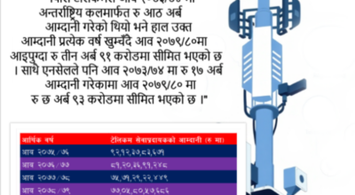 टेलिकम कम्पनी