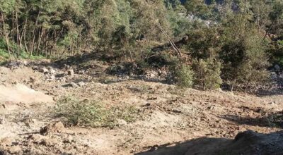 तिङ्लामा पहिरो